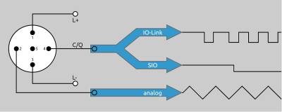Connexion d'un capteur moderne avec interface IO-Link et sortie analogique.