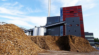 Biomass power plant